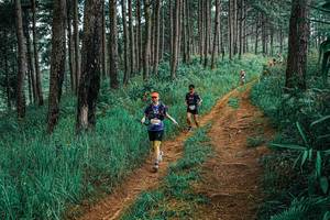 BIB: 
                            <button type="button" onclick="openModal(25655094)" class="btn btn-primary btn-sm float-right btn-popup" data-toggle="modal" data-target=".modal-high-quality">
                        <i class="fas fa-shopping-cart"></i> Add to Cart
                    </button>
                                            <button type="button" onclick="isThisMe(25655094, true)" class="btn btn-success btn-sm float-right btn-popup btn-isme hidden" data-toggle="tooltip" data-placement="bottom" title="นี่คือรูปของคุณใช่ไหม คลิกที่นี่เพื่อเอาเข้าอัลบั้ม">
                        <i class="fas fa-plus"></i> Add to album
                    </button>
                    <button type="button" onclick="isThisMe(25655094, false)" class="btn btn-warning btn-sm float-right btn-popup btn-isnotme hidden">
                        <i class="fas fa-ban"></i> Remove from album
                    </button>